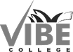 Vibe Bharosa
